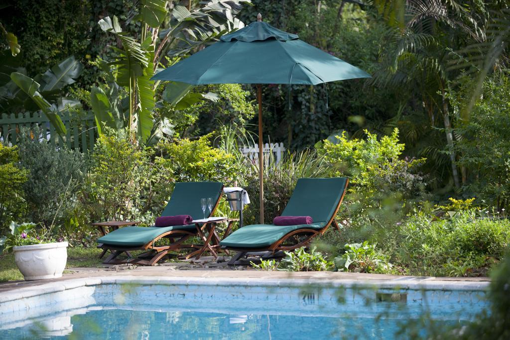 Hacklewood Hill Country House Port Elizabeth Exteriör bild